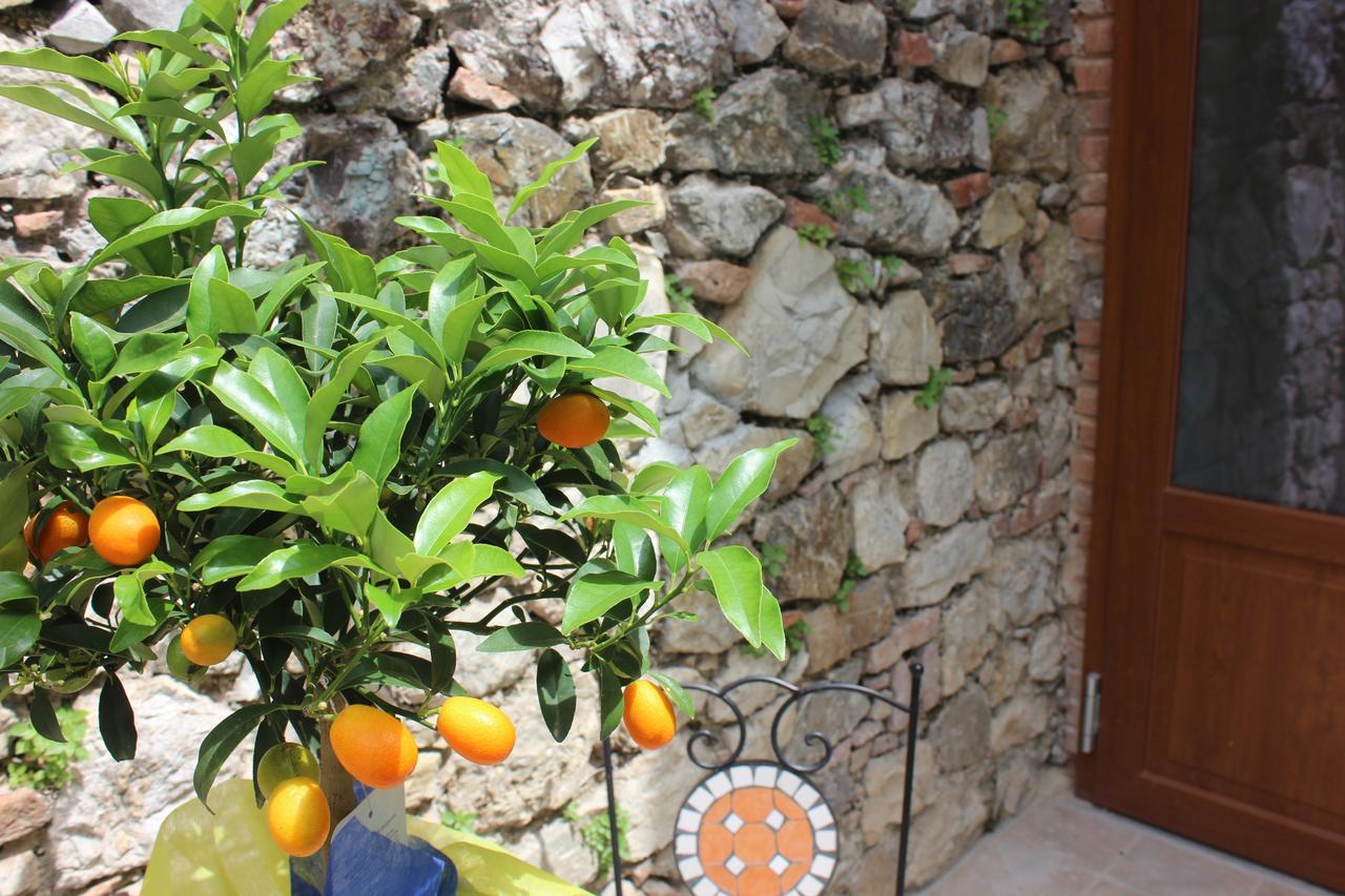 B&B Canneto Monteverdi Marittimo Εξωτερικό φωτογραφία