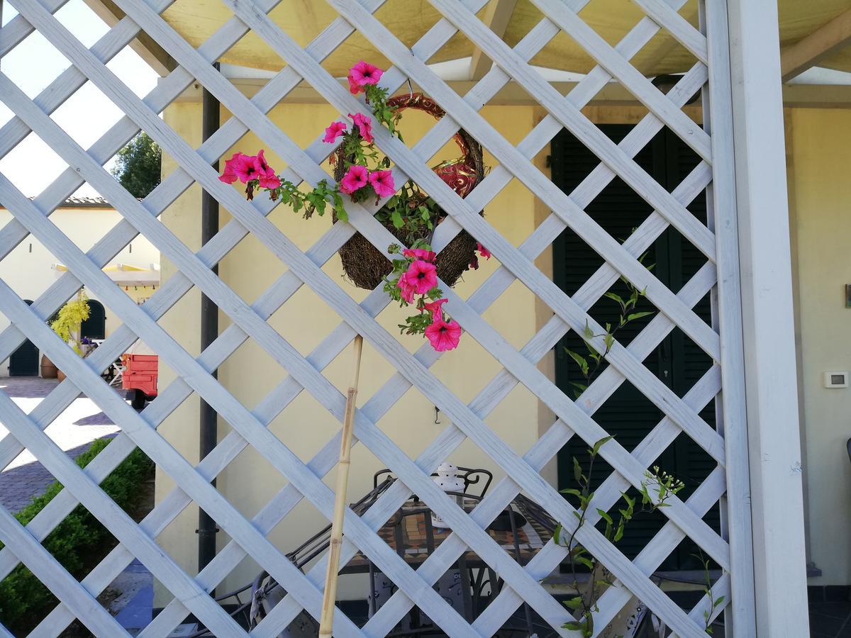 B&B Canneto Monteverdi Marittimo Εξωτερικό φωτογραφία